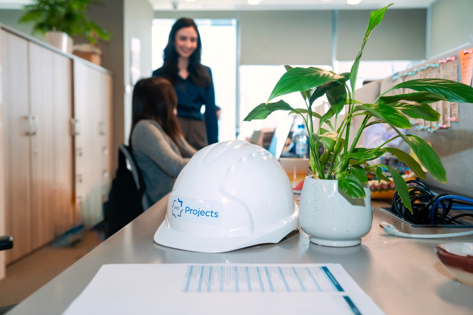 Environmental Sustainability  and Resilience