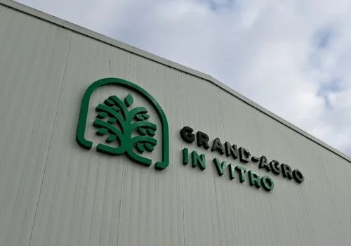 GRAND AGRO INVITRO